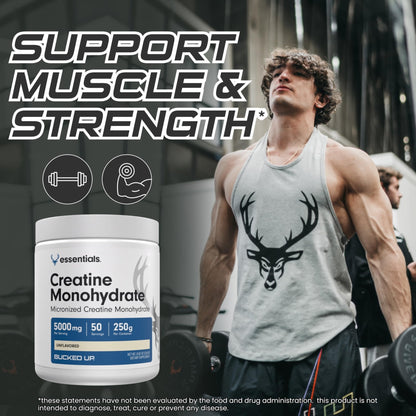 Bucked Up Pure Micronized Creatine Monohydrate for Women and Men - Easy to Mix and Unflavored - 5G Per Serving - PrimeBioHealth - canada supplements
