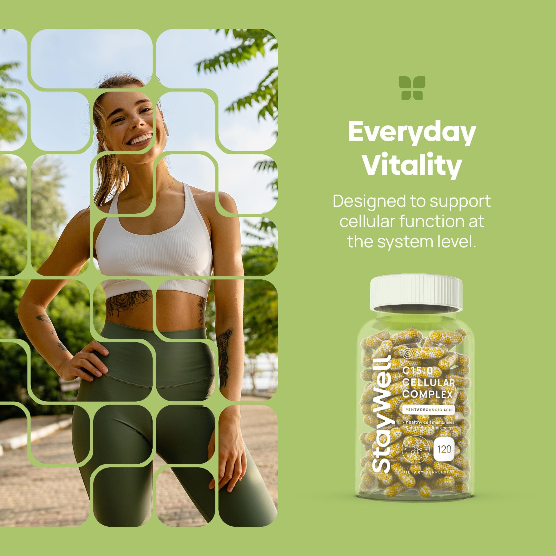 C15:0 Pentadecanoic Acid Supplement | Longevity, Cellular & Membrane Support, Micro-Granule Enhanced Absorption, Phosphatidylcholine, L-Carnitine, - PrimeBioHealth - canada supplements