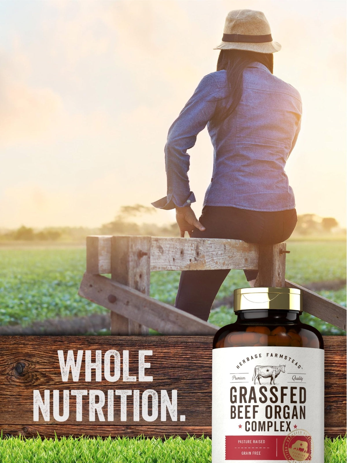 Carlyle Grass Fed Beef Organ Complex | 200 Capsules | Pasture Raised, Grain Free Supplement | with Desiccated Liver, Kidney, Pancreas, Heart, Spleen - PrimeBioHealth - canada supplements