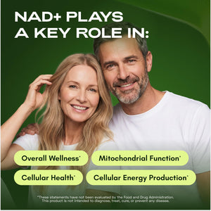 Cata-Kor Liposomal NAD Resveratrol Supplement – NMN Supplement Alternative – Third-Party Tested – Advanced NAD Supplement - PrimeBioHealth - canada supplements