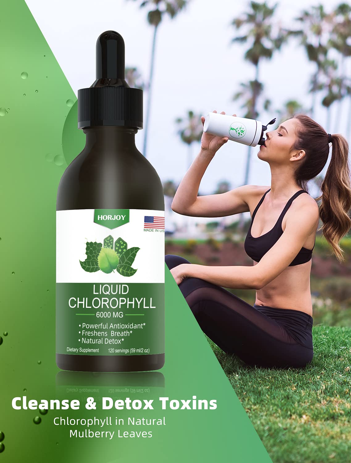 Chlorophyll Liquid Drops - 100% Natural Energy Booster and Immune Support - Internal Deodorant and Detox - Altitude Sickness Relief - Fast Absorption - PrimeBioHealth - canada supplements