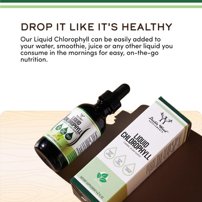 Chlorophyll Liquid Drops - for Digestion, Gut Health, Energy and Detox - Vegan Safe - PrimeBioHealth - canada supplements