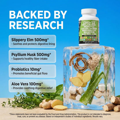 Clean Nutraceuticals Slippery Elm Psyllium Husk Pre Probiotic Digestive Gut Health Supplement with Aloe Vera Cascara Sagrada - PrimeBioHealth - canada supplements