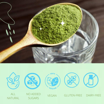 Consult Health Gut-Duction Bloat Control – Gut Health Support Superfood Formula – Plant Based Proteins - Probiotics – Powder Drink Mix – 28 Servings – 9.9 oz. - PrimeBioHealth - canada supplements