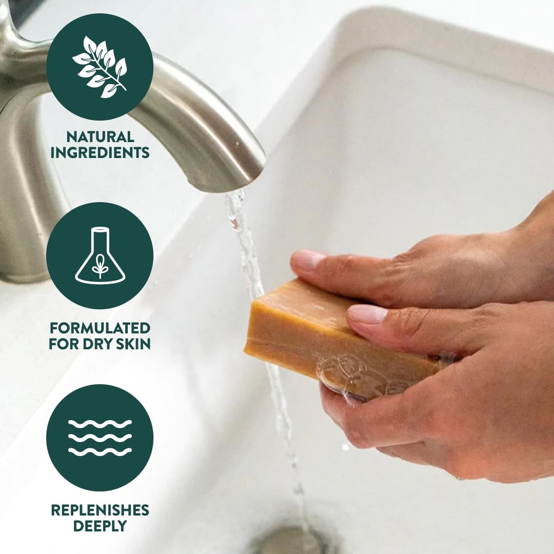 Crate 61 Organics, Handmade in Canada, Plant Based Cold Process Natural Bar Soap, With Premium Essential Oils, Dry Skin, Pack of 6 (For Him) - PrimeBioHealth - canada supplements