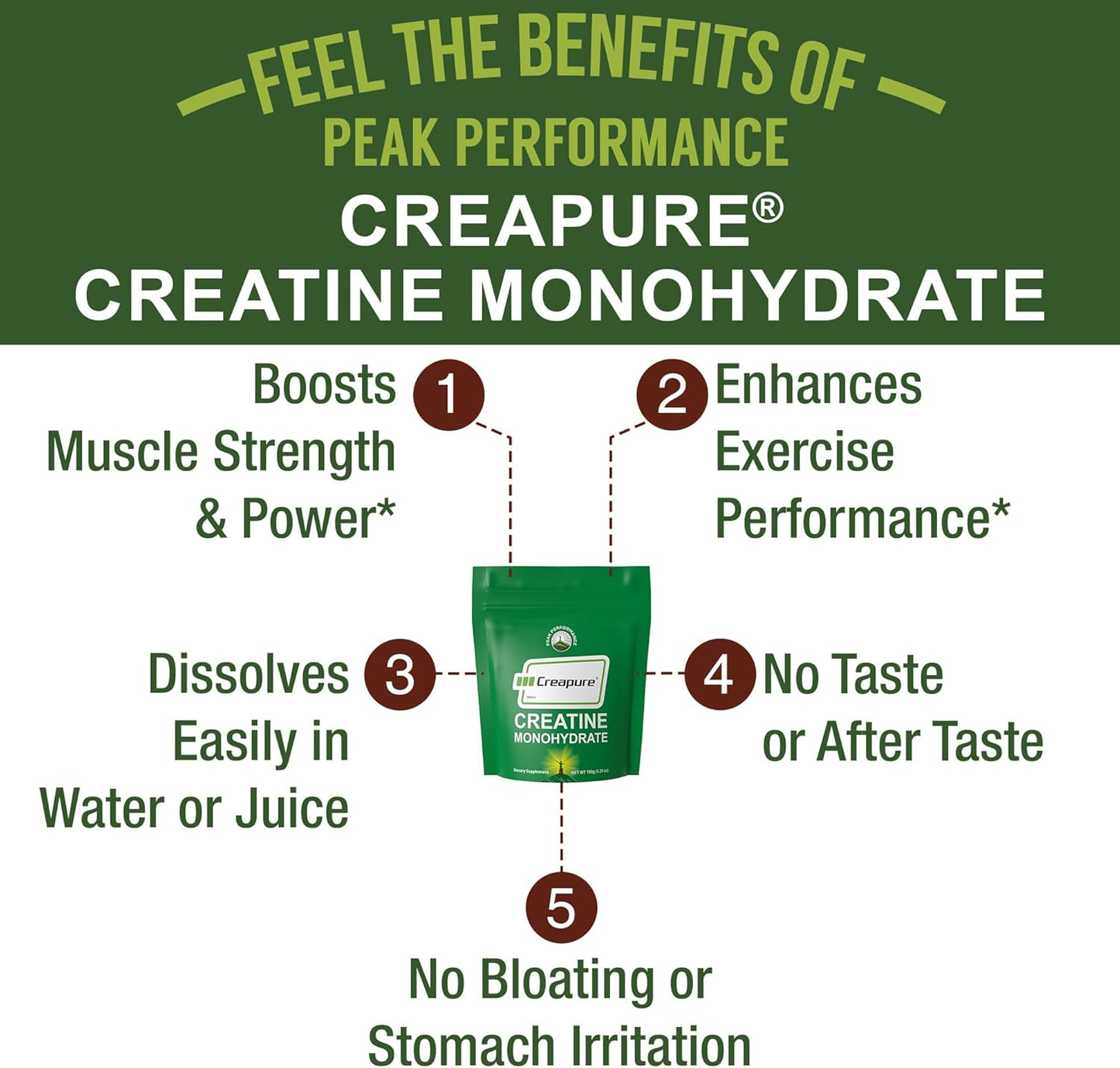 Creapure Creatine Monohydrate Powder. Ultra High Purity German Made Creatine with Nothing Else Added at All. Pure and Unflavored for Men & Women. Zero Bloating, No Sugar, Vegan Friendly Supplement - PrimeBioHealth - canada supplements