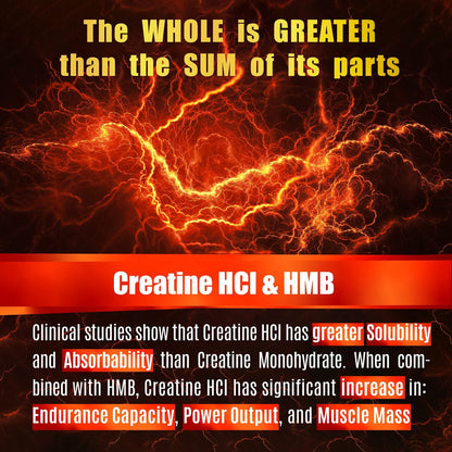 Creatine HCL Capsules with HMB - Workout Supplement for Men & Women, Muscle Builder, Endurance, Strength, Superior to Monohydrate: Instantized for Max Absorption, No Load - PrimeBioHealth - canada supplements
