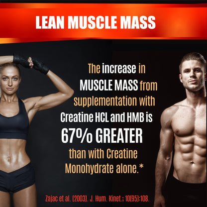 Creatine HCL Capsules with HMB - Workout Supplement for Men & Women, Muscle Builder, Endurance, Strength, Superior to Monohydrate: Instantized for Max Absorption, No Load - PrimeBioHealth - canada supplements