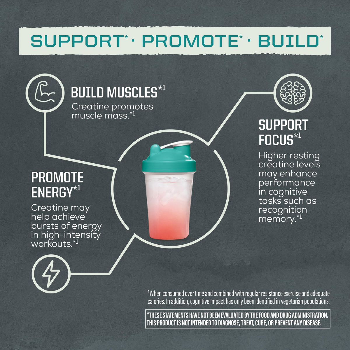 Creatine Monohydrate Powder Micronized PreWorkout Recovery Supplement | Support Muscle Building Strength Training Cognition | Vegan & Keto Friendly Easily Mixes - PrimeBioHealth - canada supplements