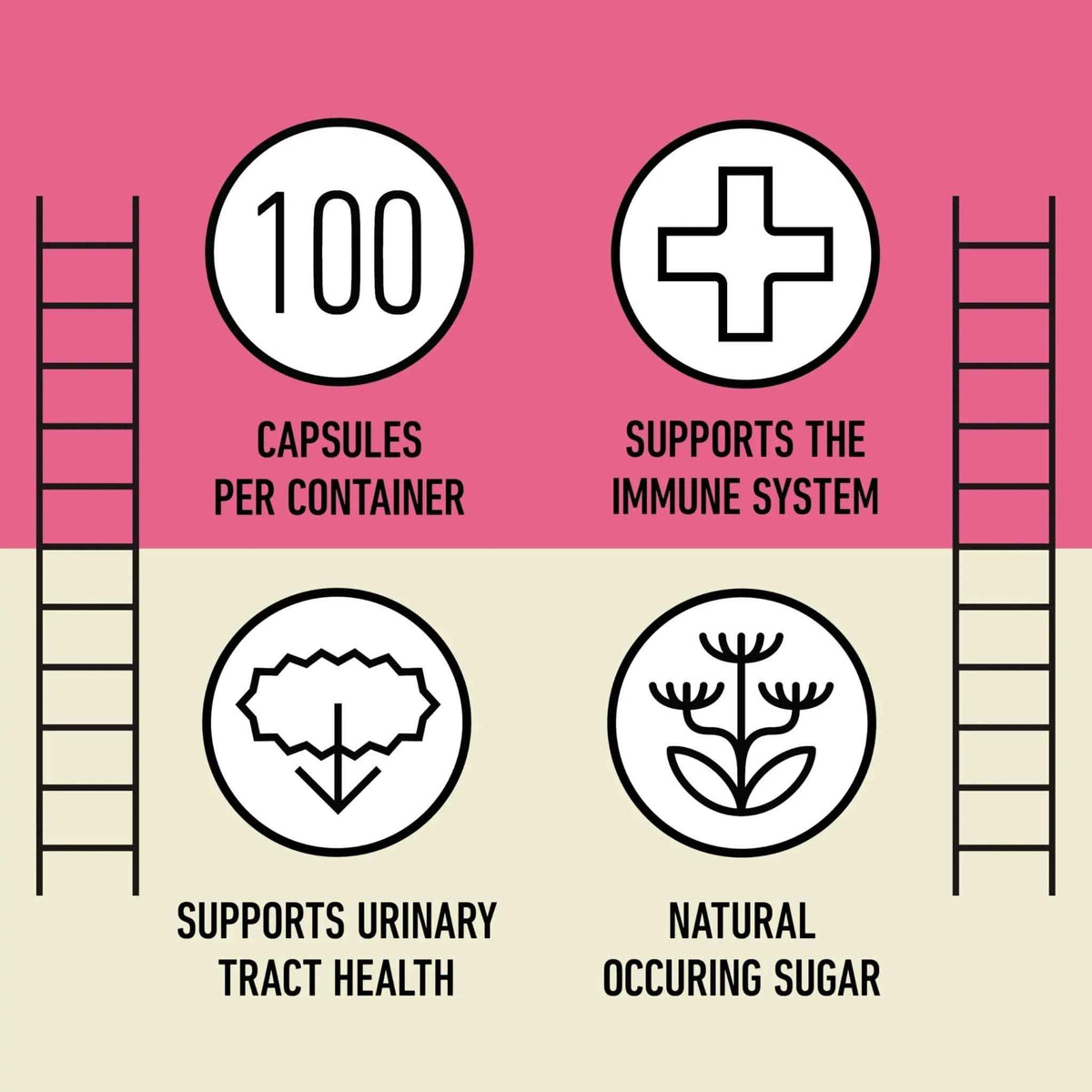 D Mannose 520mg Capsules - Organic D Mannose Supplement for UT Support, Urinary Tract Bladder Health Pills, Plant Based Formula, Vegan Non GMO, No Fillers, 500 Capsule Count Made USA Certified Kosher