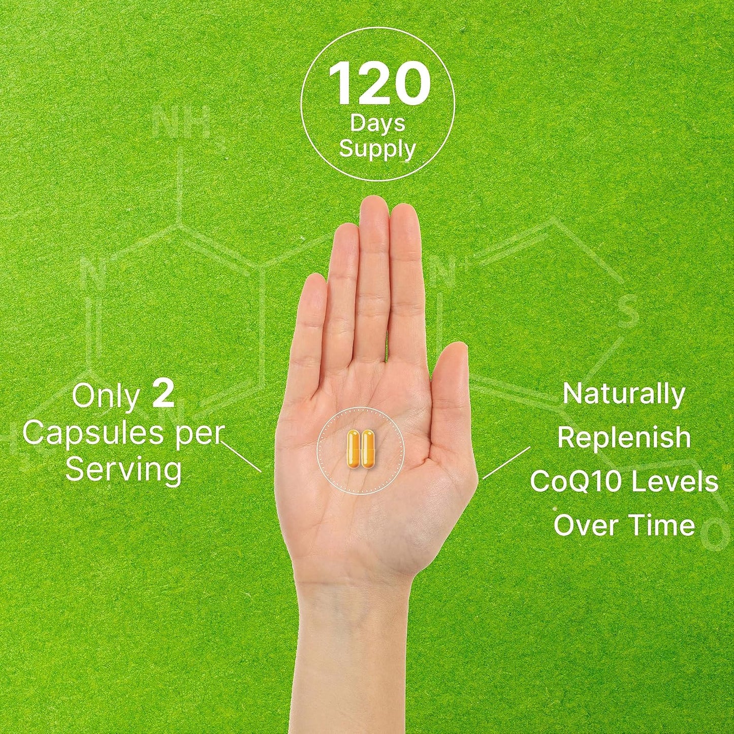 DEAL SUPPLEMENT CoQ10 200mg with PQQ 200mcg, 240 Veggie Capsules | Bioavailable Coenzyme Q10 Complex | Supports Heart, Energy & Brain Health | Antioxidant Support | Non-GMO - PrimeBioHealth - canada supplements