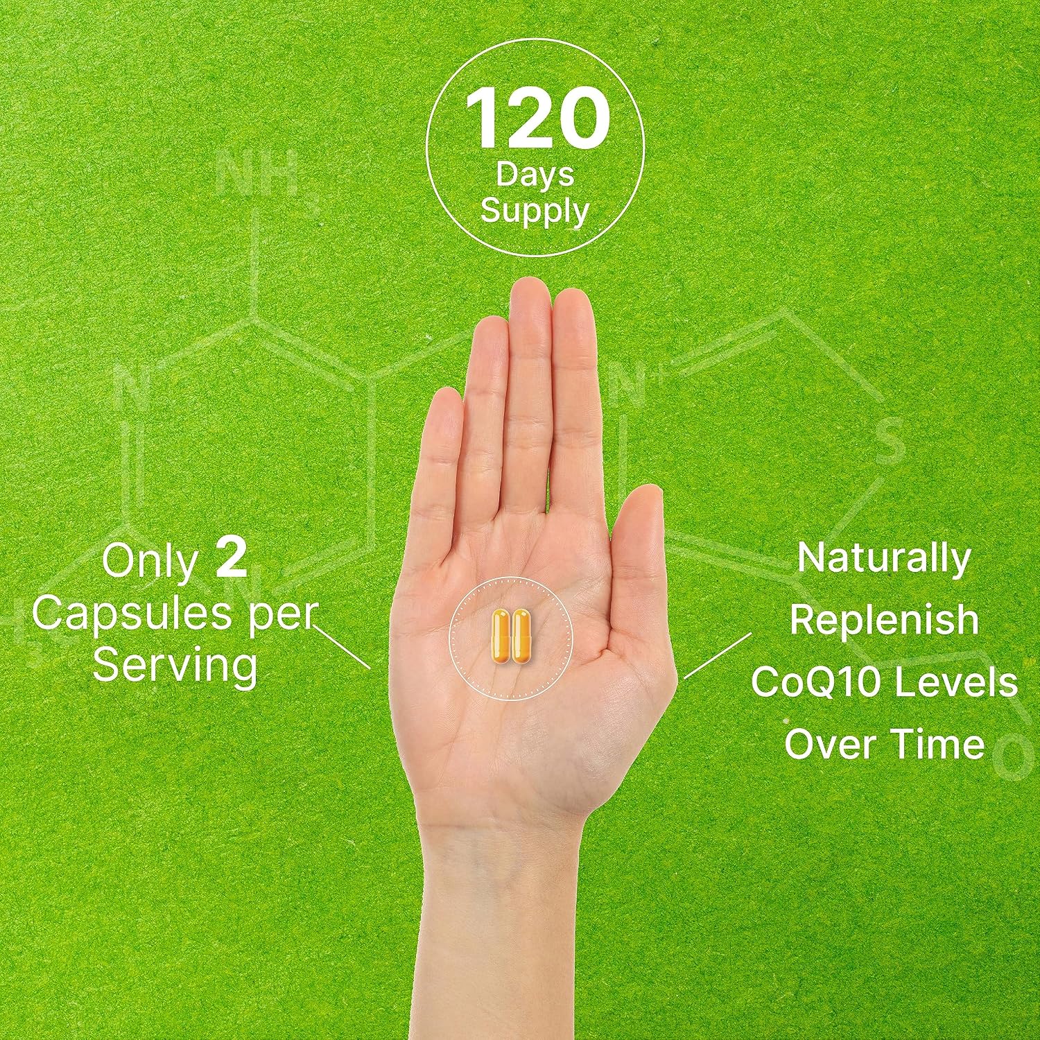 DEAL SUPPLEMENT CoQ10 200mg with PQQ 200mcg, 240 Veggie Capsules | Bioavailable Coenzyme Q10 Complex | Supports Heart, Energy & Brain Health | Antioxidant Support | Non-GMO - PrimeBioHealth - canada supplements