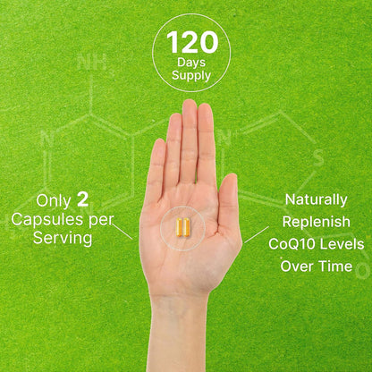 DEAL SUPPLEMENT CoQ10 200mg with PQQ 200mcg, 240 Veggie Capsules | Bioavailable Coenzyme Q10 Complex | Supports Heart, Energy & Brain Health | Antioxidant Support | Non-GMO - PrimeBioHealth - canada supplements