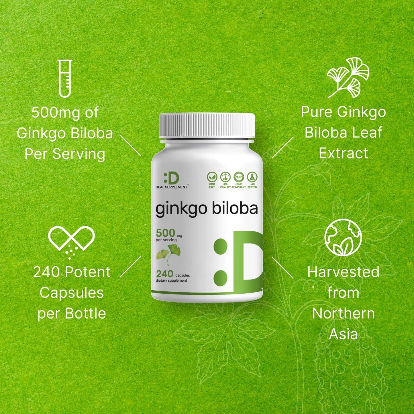 DEAL SUPPLEMENT Ginkgo Biloba 500mg Per Serving, 240 Capsules, 4 Month Supply – Grown in Northern Asia – Extra Strength, Promotes Brain Function - PrimeBioHealth - canada supplements