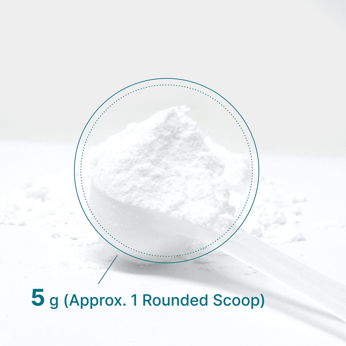 DEAL SUPPLEMENT Instant Creatine Monohydrate Powder, 5g Per Serving – 60 Servings | Micronized, Unflavored, Fast Absorbing Formula - PrimeBioHealth - canada supplements