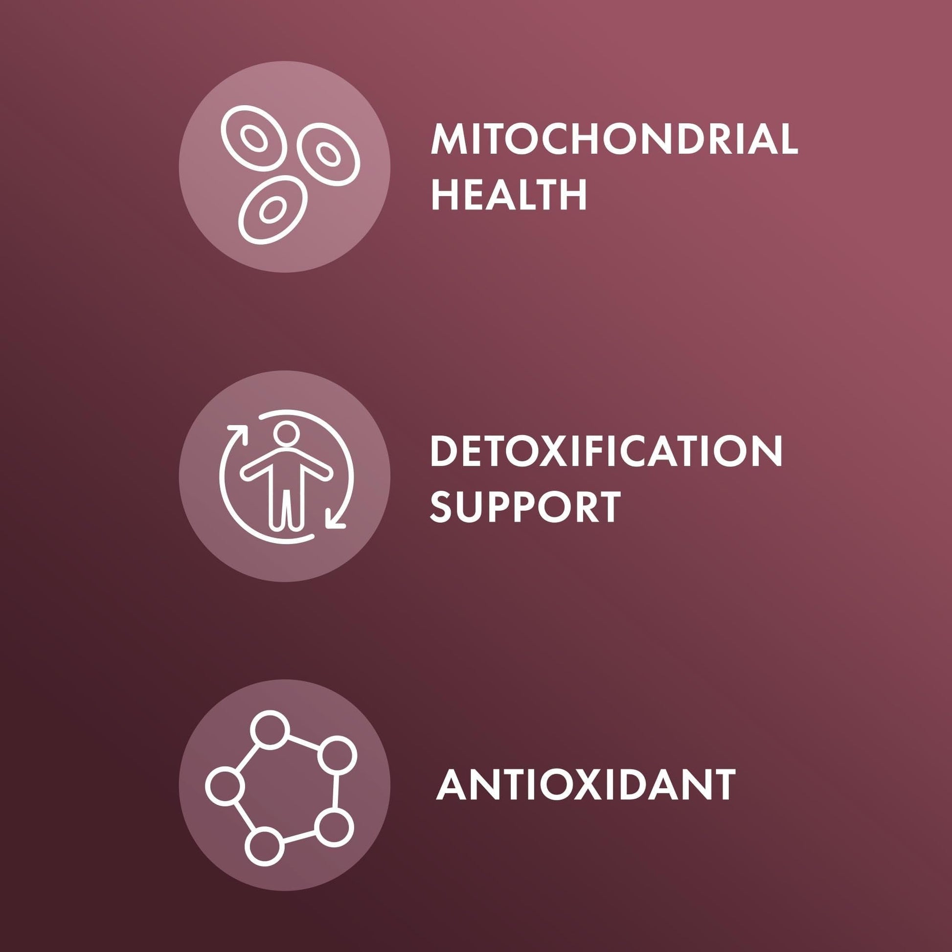 Dr. Mercola NAC with Milk Thistle - with Antioxidants - Supports Normal Detoxification Processes - 500 mg N-Acetyl-Cysteine per Serving - Non-GMO - PrimeBioHealth - canada supplements
