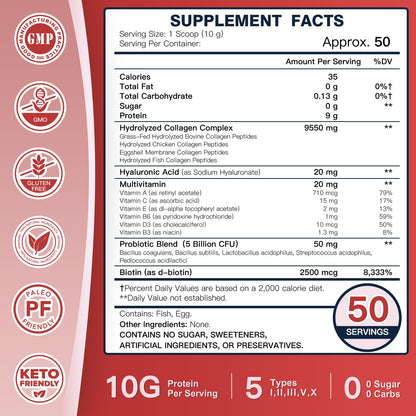 DRFOSTER Multi-Collagen-Peptide-Powder with Probiotics, 50 Servings of Hydrolyzed Collagen Peptides with Hyaluronic Acid, Biotin & Multivitamins - Supports Skin, Hair, Nails Health - PrimeBioHealth - canada supplements