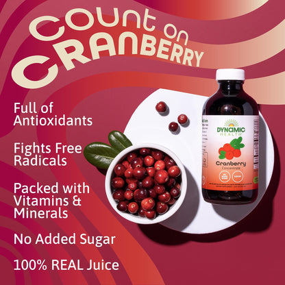 Dynamic Health 100% Pure Black Cherry Juice Concentrate, No Additives, Antioxidant Supplement, Urinary Tract & Joint Support, 16 Fl oz - PrimeBioHealth - canada supplements