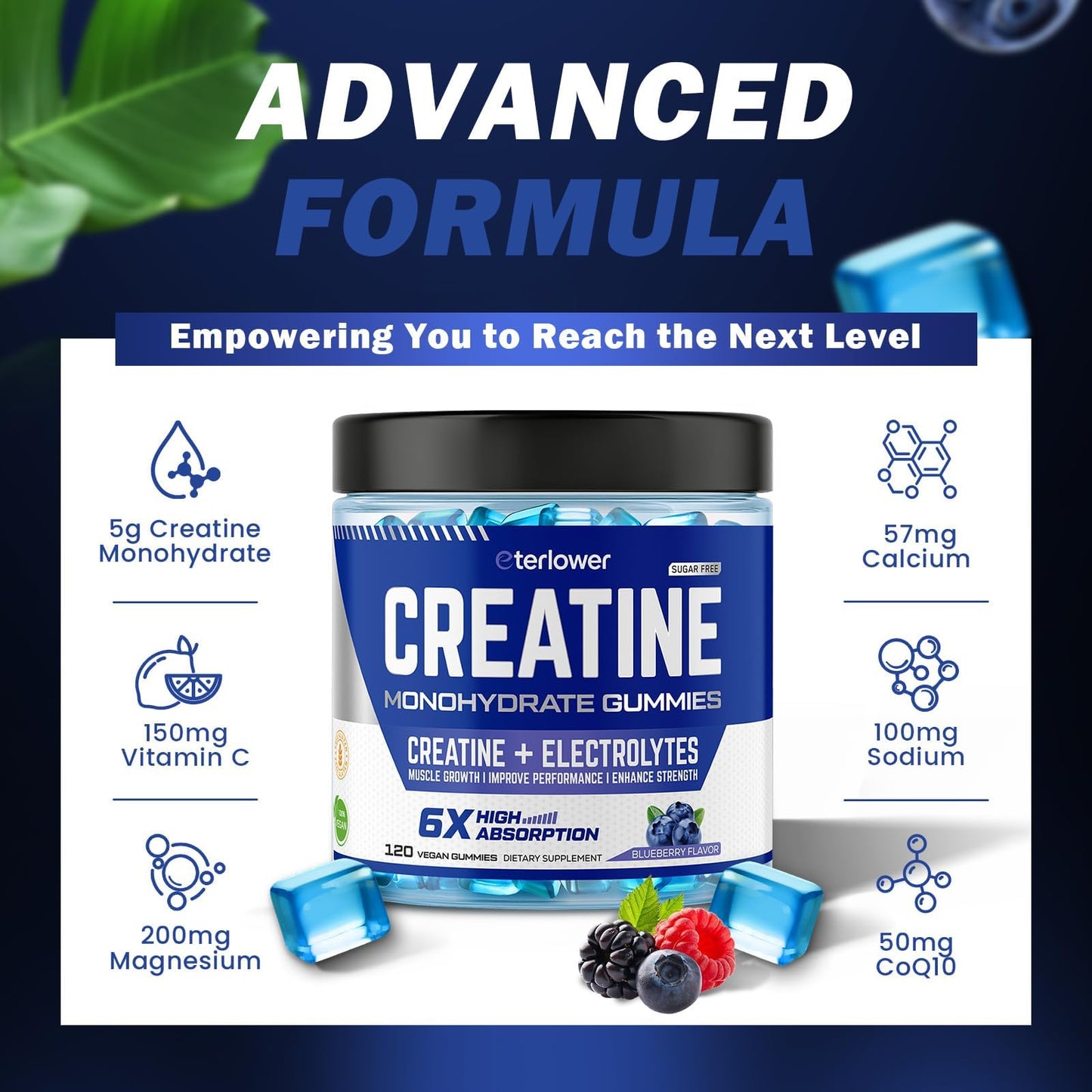eterlower Creatine Monohydrate Gummies 5g – Pre-Workout Energy & Muscle Growth Support for Men & Women | Blueberry Electrolyte Gummies, 120 Count - PrimeBioHealth - canada supplements