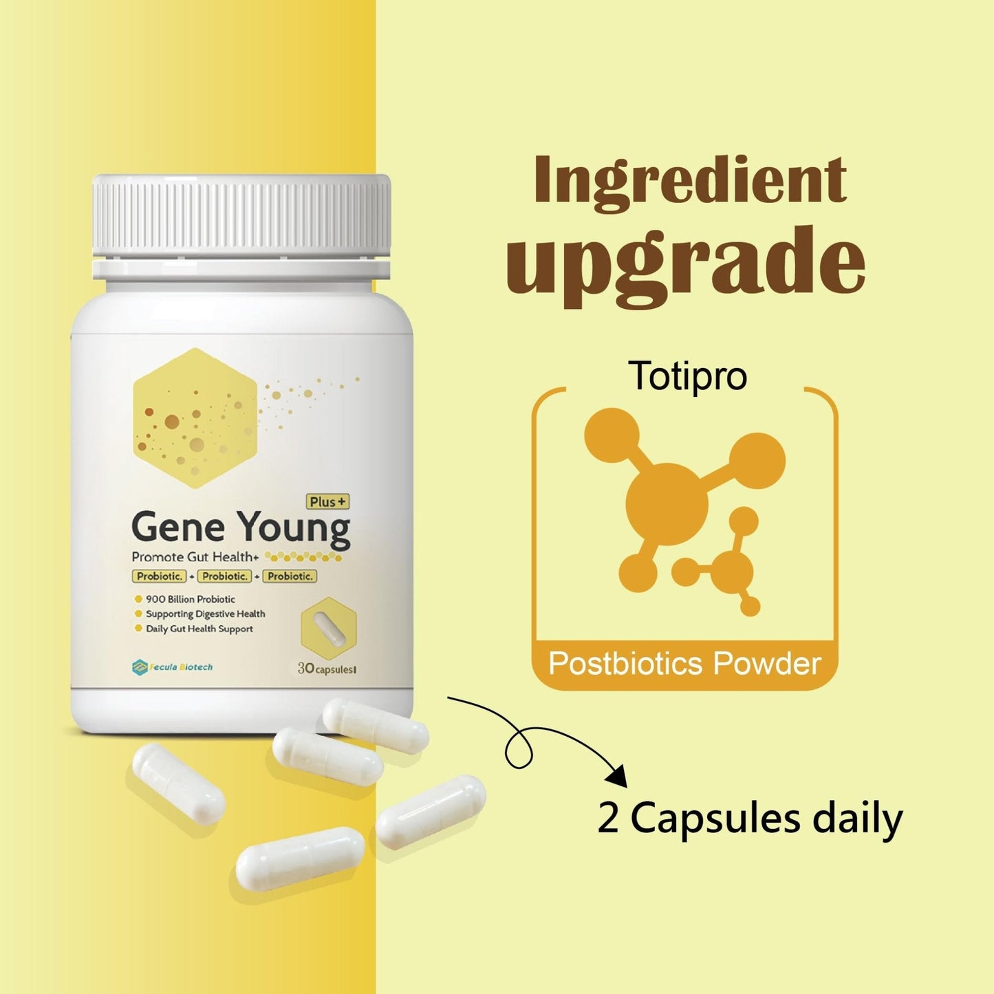 Fecula Biotech Synbiotic for Gut Health | 3-in-1 Daily Prebiotic, Probiotic, Postbiotic for Digestive Health, Bloat & Immune Support - PrimeBioHealth - canada supplements