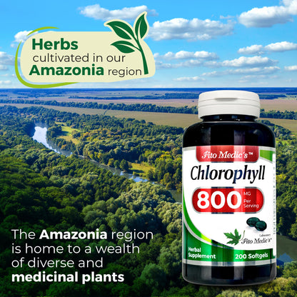 FITO MEDIC'S Lab Chlorophyll Supplement, 200 Softgels, Chlorophyll Capsules - PrimeBioHealth - canada supplements