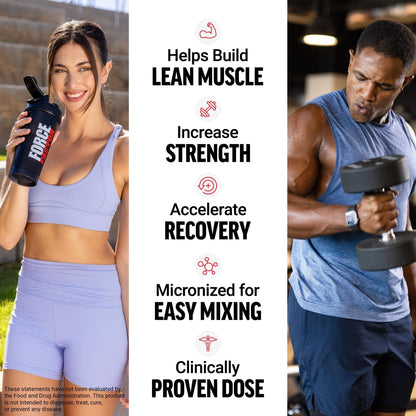 Force Factor Creatine Monohydrate Powder, 5g Micronized Dose to Support Muscle Growth, Strength, Recovery, Cognitive Health & Memory - PrimeBioHealth - canada supplements