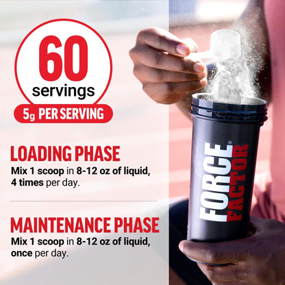 Force Factor Creatine Monohydrate Powder, 5g Micronized Dose to Support Muscle Growth, Strength, Recovery, Cognitive Health & Memory - PrimeBioHealth - canada supplements