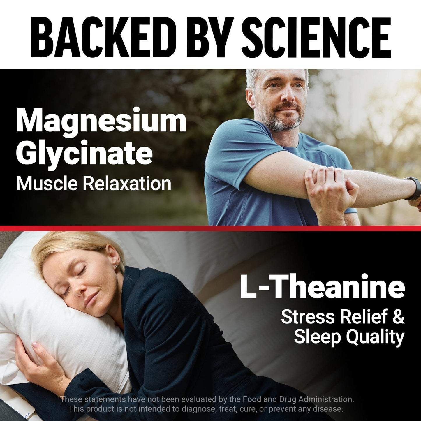 Force Factor Magnesium + L-Theanine, Magnesium Bisglycinate Supplement to Support Bones, Muscles, Nerves, Relaxation, and Mood, Vegan - PrimeBioHealth - canada supplements