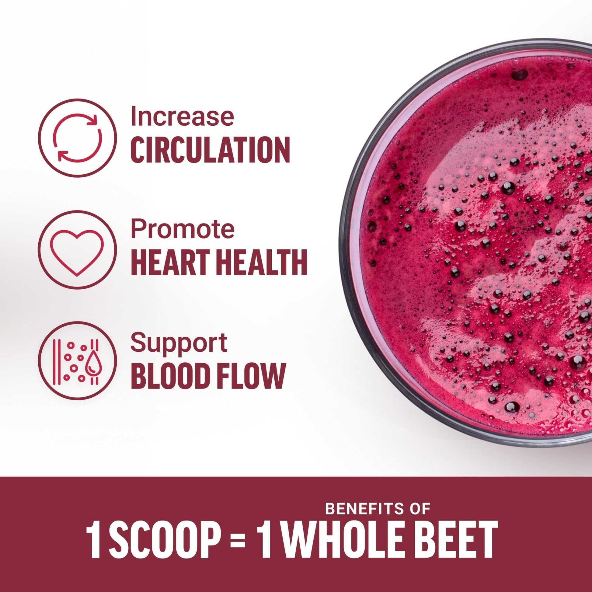 Force Factor Total Beets Organic Beetroot Powder Superfood to Boost Daily Nutrition, USDA Organic, Vegan, Gluten-Free - PrimeBioHealth - canada supplements