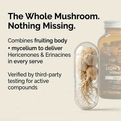 Forest Super Foods Lions Mane Supplement Capsules (120 Capsules) Organic Lions Mane Mushroom | Memory Lift Brain Supplement for Focus and Productivity. Lion Mane, Grown & Made in Australia - PrimeBioHealth - canada supplements