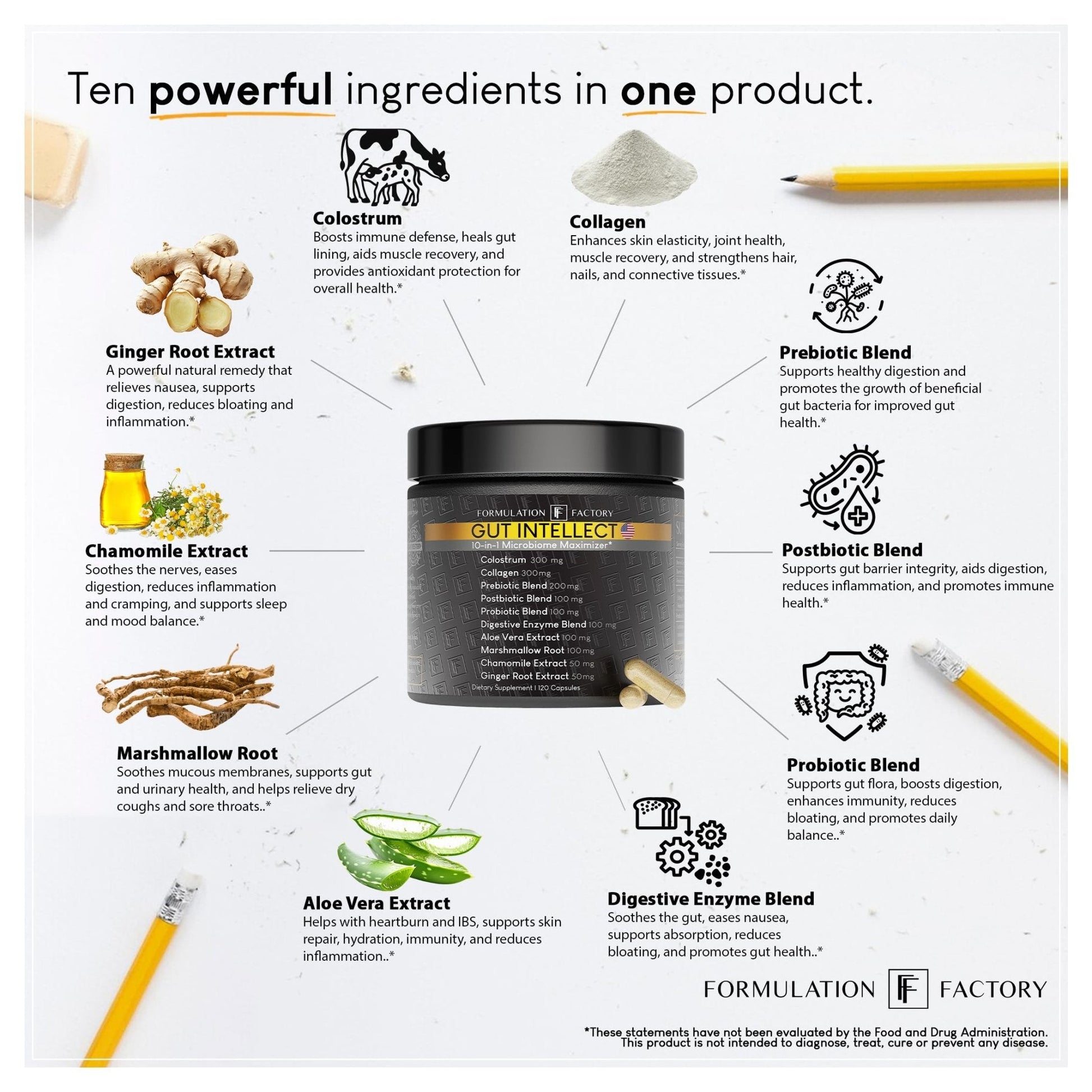Formulation Factory Probiotics for Women & Men - Gut Intellect 10-in-1 Digestive Enzymes with Prebiotics and Postbiotics - Total Gut Health Supplement - PrimeBioHealth - canada supplements