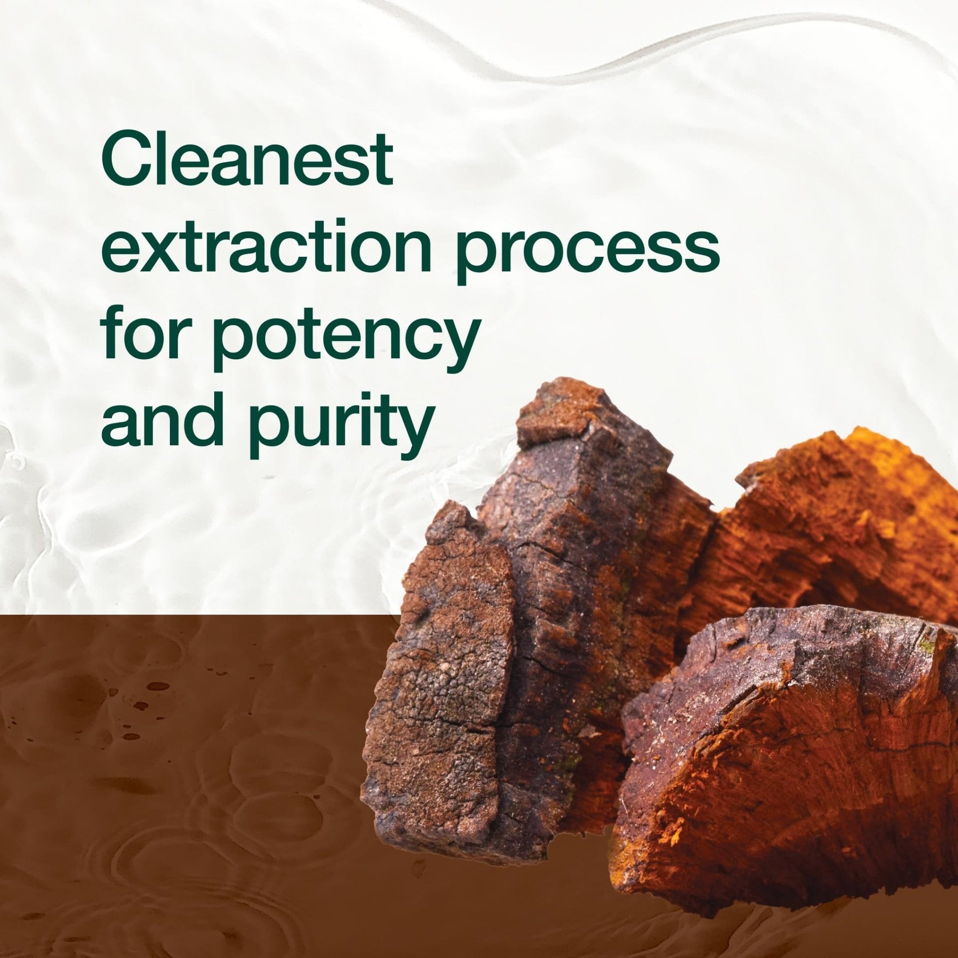 Fresh Nutrition Organic Chaga Mushrooms – Strongest DNA Verified 1500mg Per Serving – High in Fiber – Non GMO, Gluten & Soy Free, Vegan Friendly - PrimeBioHealth - canada supplements