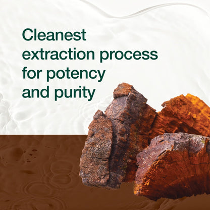 Fresh Nutrition Organic Chaga Mushrooms – Strongest DNA Verified 1500mg Per Serving – High in Fiber – Non GMO, Gluten & Soy Free, Vegan Friendly - PrimeBioHealth - canada supplements