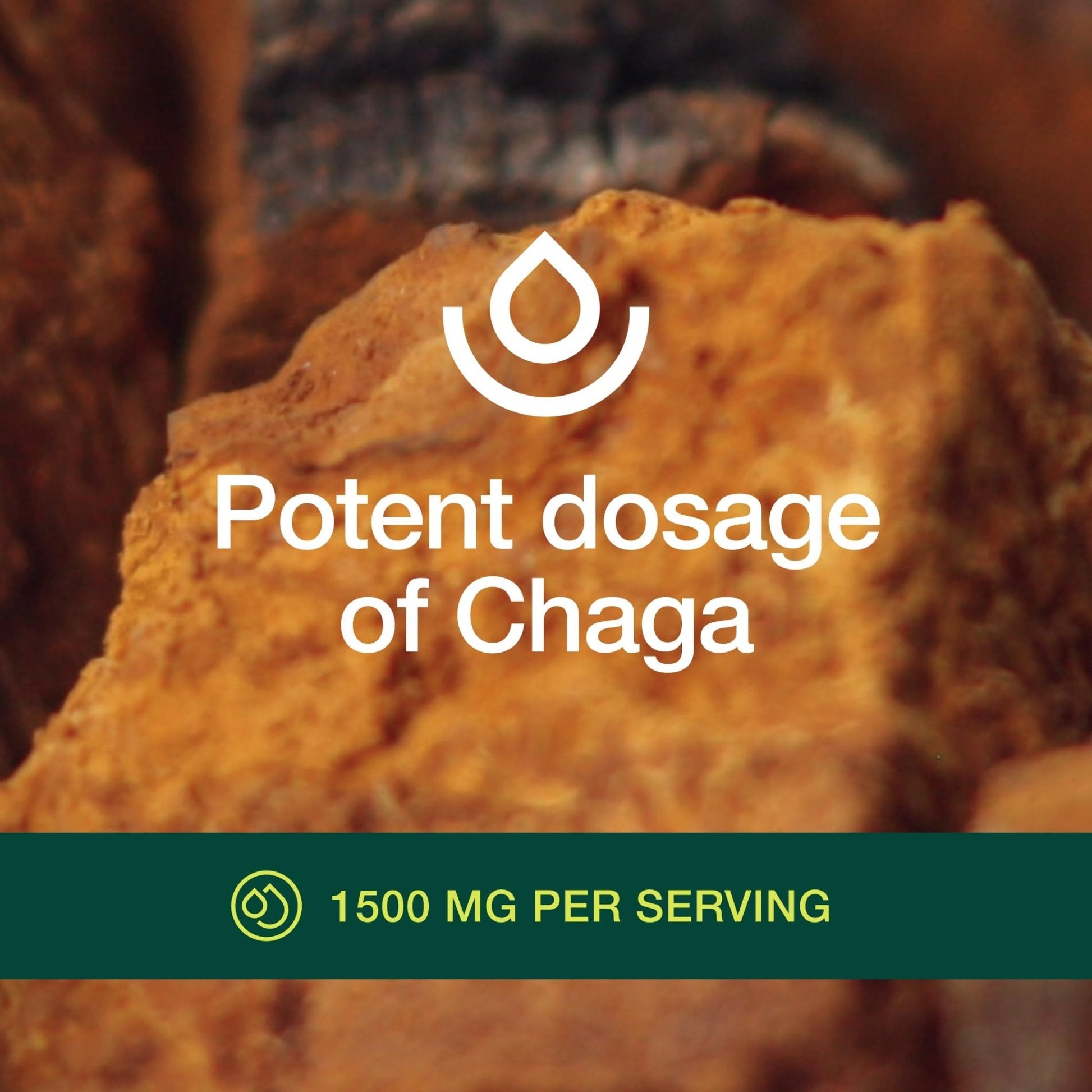 Fresh Nutrition Organic Chaga Mushrooms – Strongest DNA Verified 1500mg Per Serving – High in Fiber – Non GMO, Gluten & Soy Free, Vegan Friendly - PrimeBioHealth - canada supplements