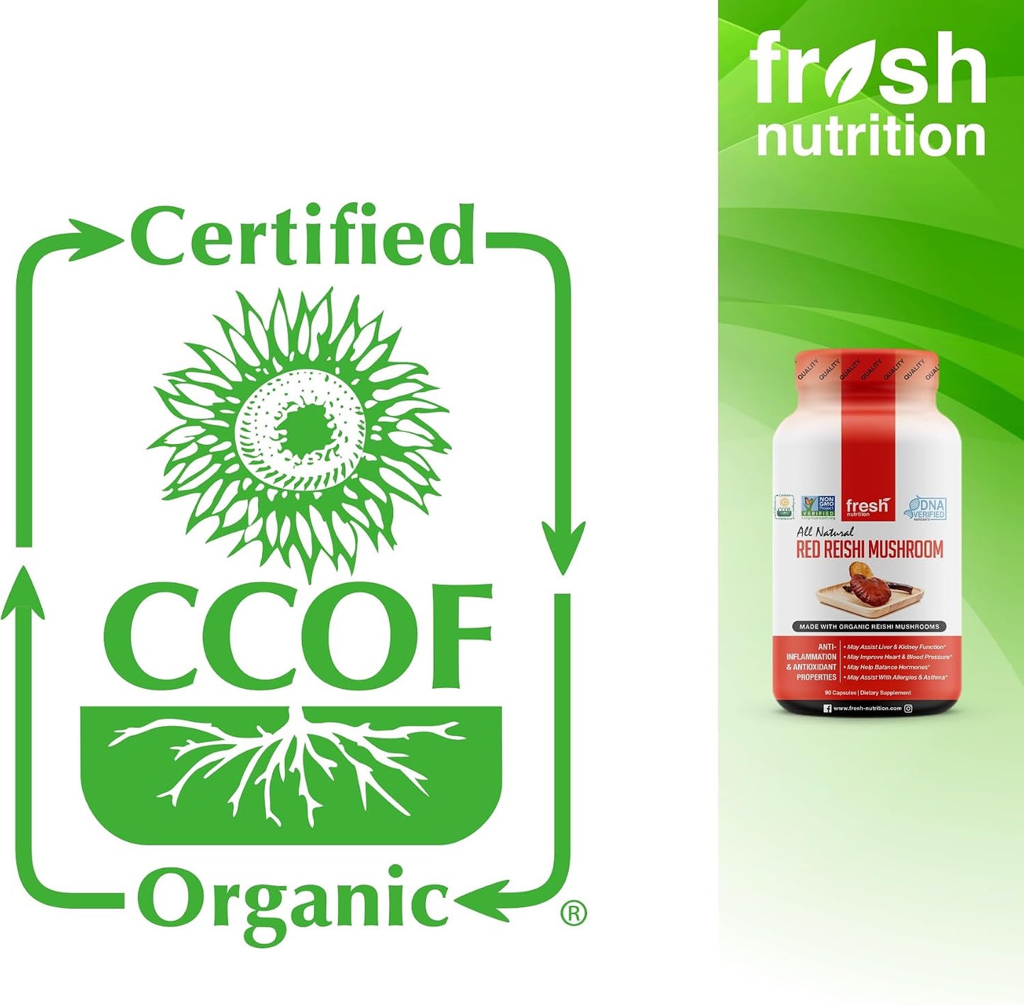 Fresh Nutrition Organic Reishi Mushroom Capsules - Rich in Alpha Glucan - Ganoderma Lucidum & Ganoderma Applanatim - Third Party Tested - 90 Capsules/Pills - PrimeBioHealth - canada supplements