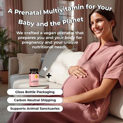 Future Kind Prenatal Vitamin - Pregnancy, Lactation, and Wellness Support with DHA & L-Methylfolate - Folate Supplement for Women with Vitamin D, E, Iron, Omega-3 and Biotin (60 Capsules) - PrimeBioHealth - canada supplements