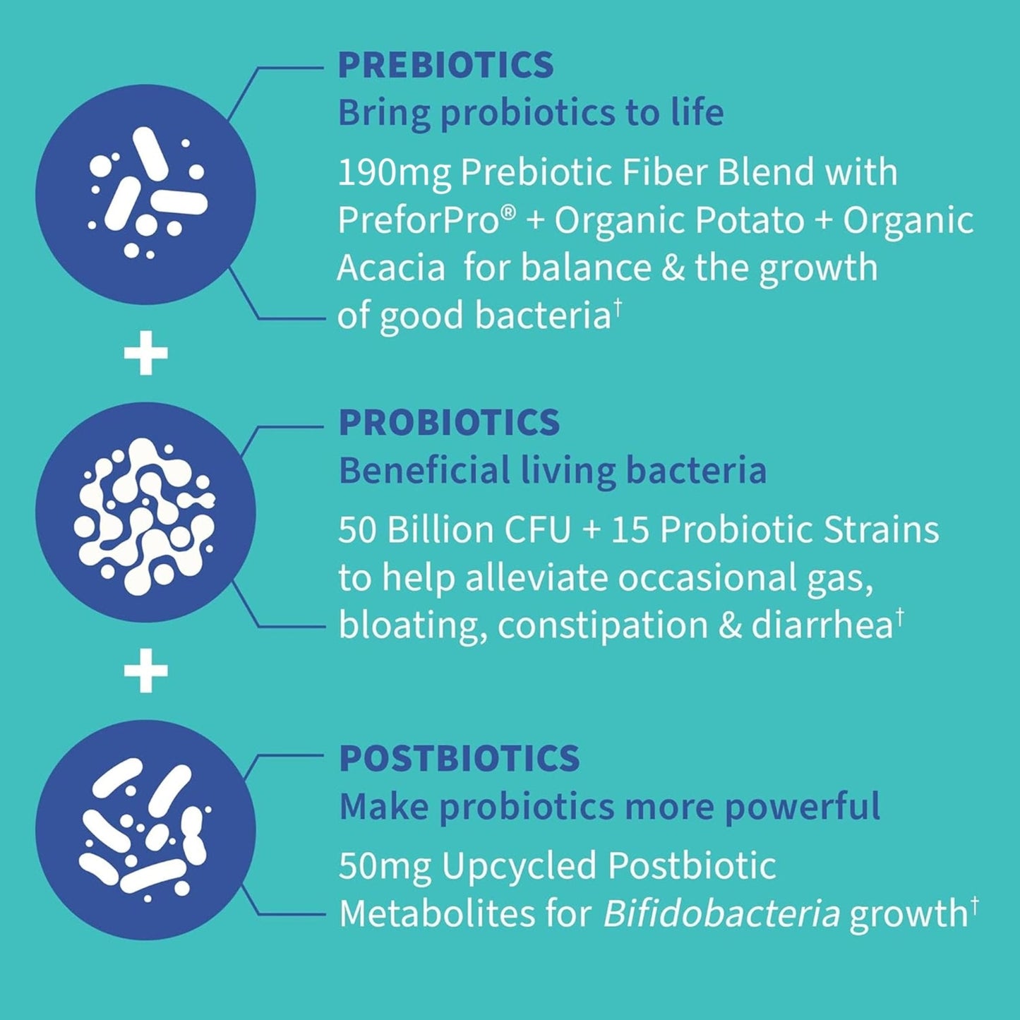 Garden of Life Dr. Formulated Pre, Post & Probiotics Gas & Bloating Once Daily 3-in-1 Complete Prebiotics, Postbiotics & Probiotics – 50 Billion CFU - PrimeBioHealth - canada supplements
