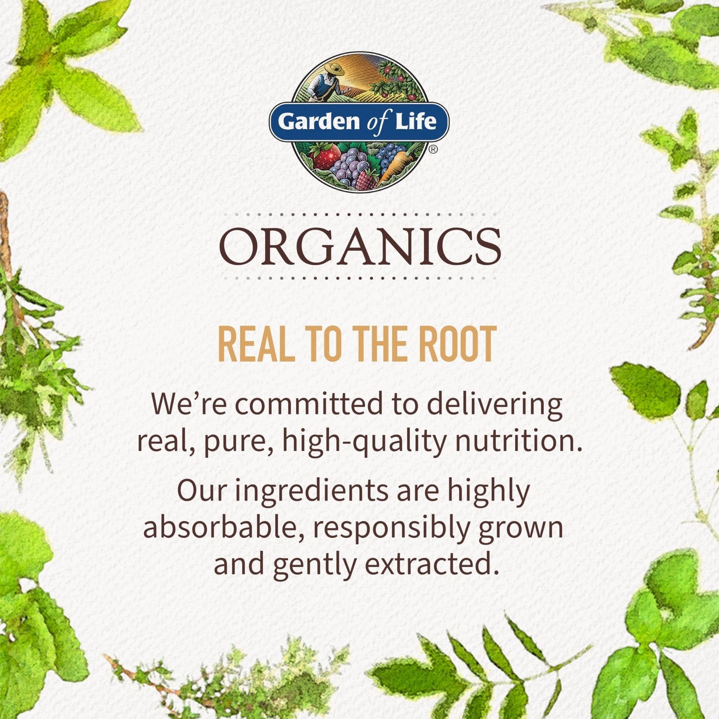 Garden of Life Organics Elderberry Gummies for Adults & Kids - Immune Support Supplement with Organic Fruit, Herbal Blend, Elderberry, Echinacea, Zinc, - PrimeBioHealth - canada supplements