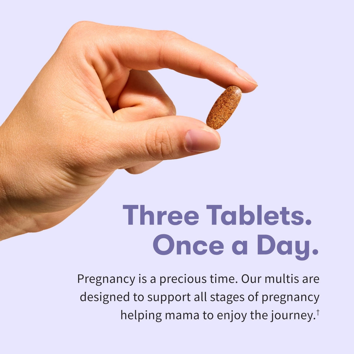 Garden of Life Organics Prenatal Multivitamin with Folate, B6, B12, D3 & Iron – Prenatal Vitamins for Women with Energy Metabolism Support for Healthy Fetal Development - PrimeBioHealth - canada supplements