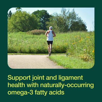 Green Lipped Mussel Capsules - Strongest DNA Verified from New Zealand - Perna Canaliculus Omega Supplement - May Promote Healthy Joints - 90 Capsules - PrimeBioHealth - canada supplements