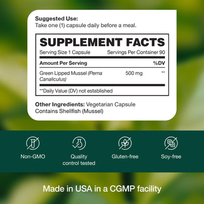 Green Lipped Mussel Capsules - Strongest DNA Verified from New Zealand - Perna Canaliculus Omega Supplement - May Promote Healthy Joints - 90 Capsules - PrimeBioHealth - canada supplements