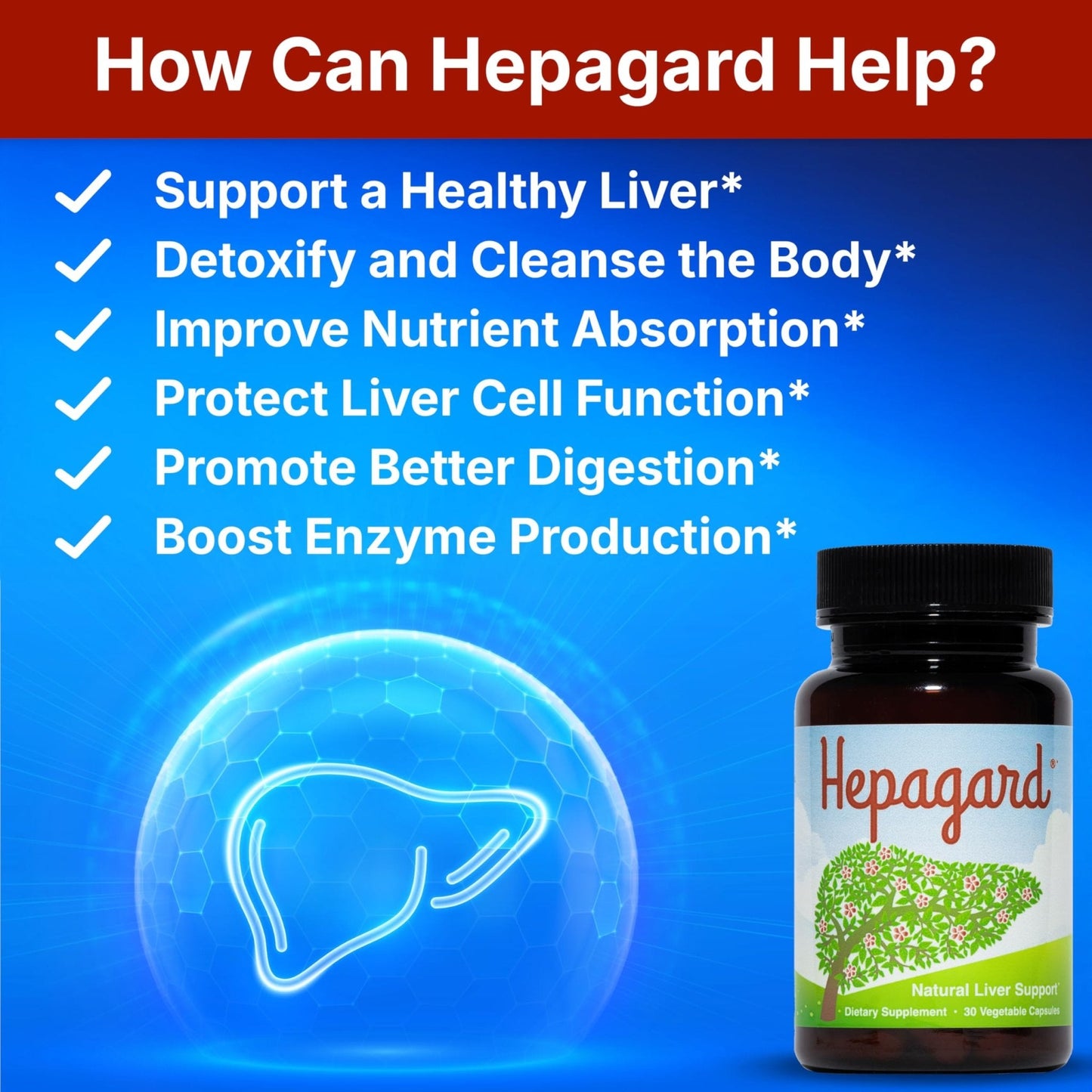 Hepagard - Natural Liver Support Supplement with N-Acetyl Cysteine (NAC) - Non-GMO, Vegan, Gluten-Free - PrimeBioHealth - canada supplements
