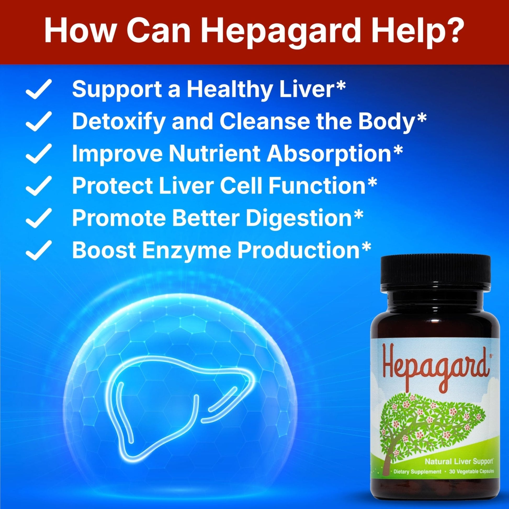 Hepagard - Natural Liver Support Supplement with N-Acetyl Cysteine (NAC) - Non-GMO, Vegan, Gluten-Free - PrimeBioHealth - canada supplements