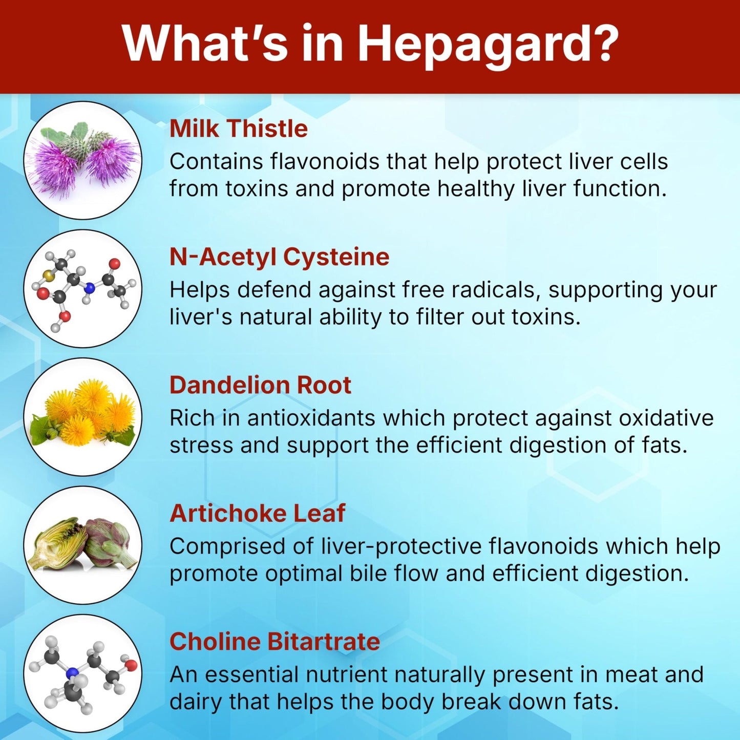 Hepagard - Natural Liver Support Supplement with N-Acetyl Cysteine (NAC) - Non-GMO, Vegan, Gluten-Free - PrimeBioHealth - canada supplements