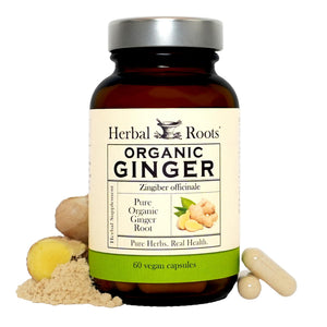 Herbal Roots Ginger Supplement | Organic Ginger Root Capsules | 1,200 mg of Pure Ginger Powder per Serving | 60 Vegan Capsules - PrimeBioHealth - canada supplements