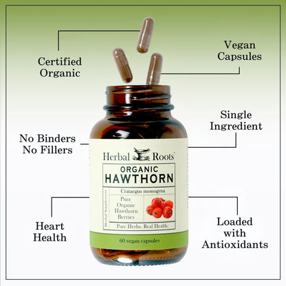 Herbal Roots Organic Hawthorn Berry Capsules | Extra Strength 1,200mg per Serving | 60 Vegan Capsules - PrimeBioHealth - canada supplements