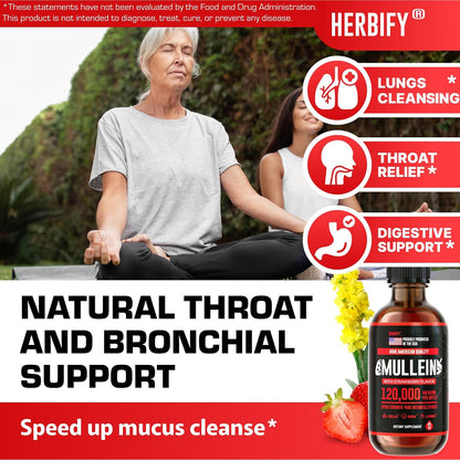 HERBIFY Bundle - Lions Mane & Mullein 4 Fl Oz Strawberry Drops - Supplement for Memory, Focus & Clarity & Immune Support, Lung Cleanse and Bronchial Support - PrimeBioHealth - canada supplements