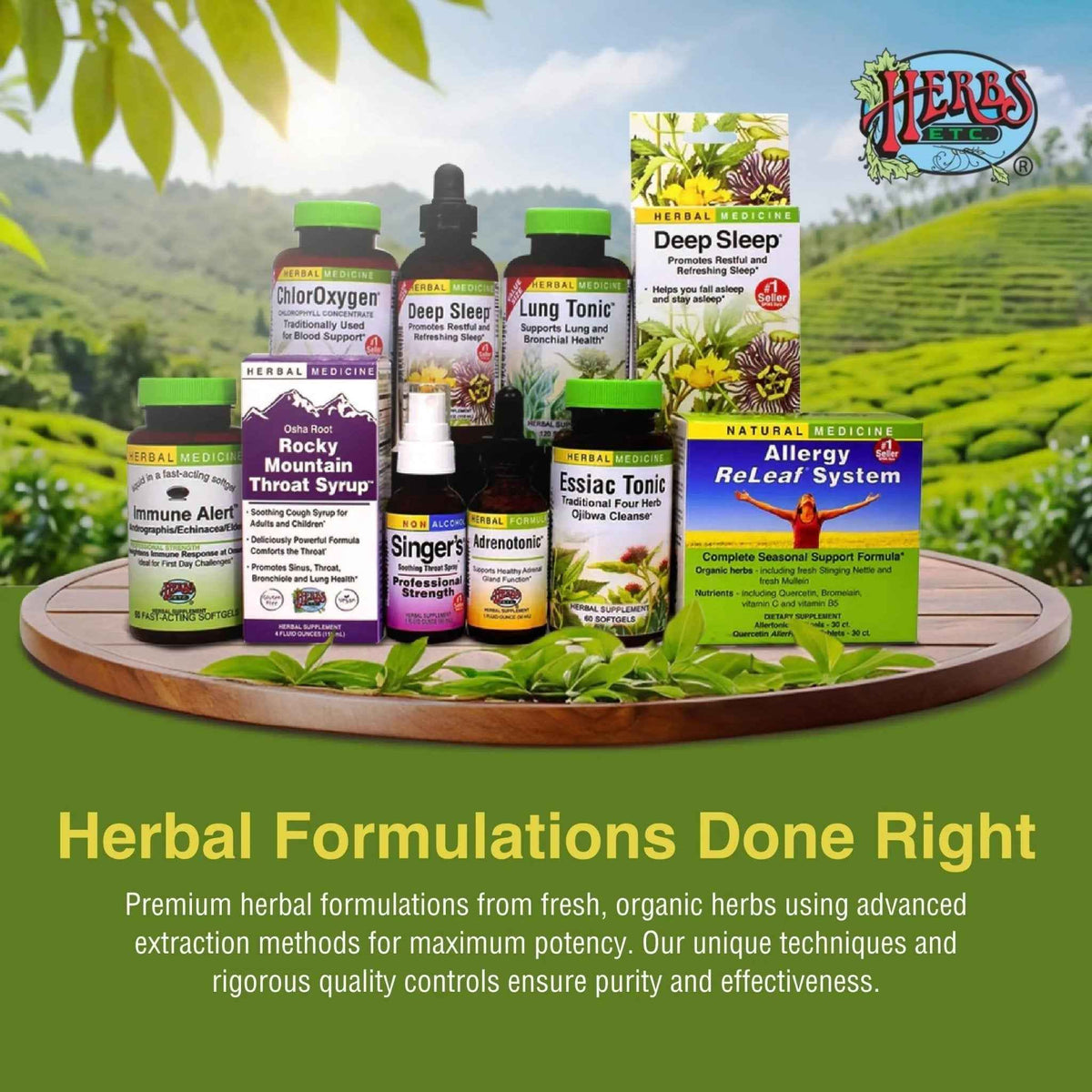 Herbs Etc. CranBladder ReLeaf Softgels - Bladder Health Support - Natural Supplement Formula to Aid Urinary Health & Comfort - Optimal Urinary Support with Cranberry - 60 Softgels (60 Servings)