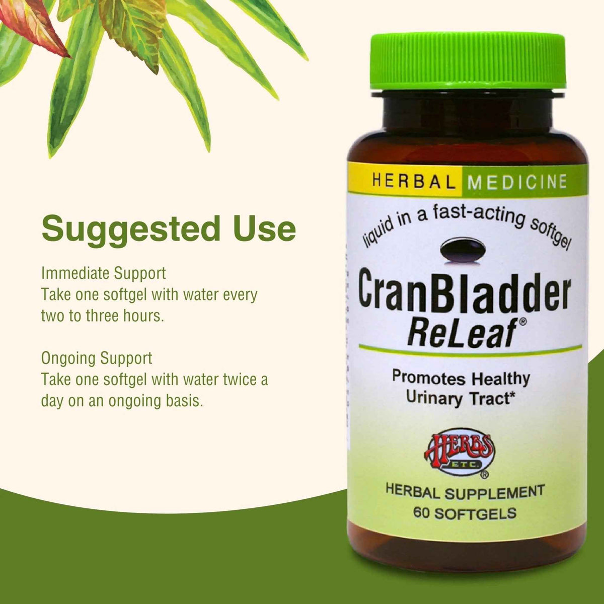 Herbs Etc. CranBladder ReLeaf Softgels - Bladder Health Support - Natural Supplement Formula to Aid Urinary Health & Comfort - Optimal Urinary Support with Cranberry - 60 Softgels (60 Servings)