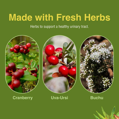 Herbs Etc. CranBladder ReLeaf Softgels - Bladder Health Support - Natural Supplement Formula to Aid Urinary Health & Comfort - Optimal Urinary Support with Cranberry - 60 Softgels (60 Servings)